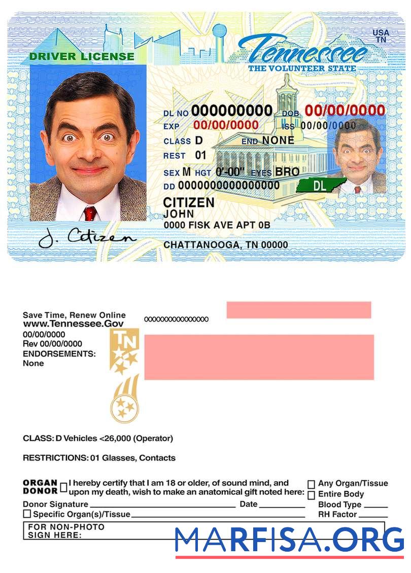 Realistic USA Tennessee driving license real example